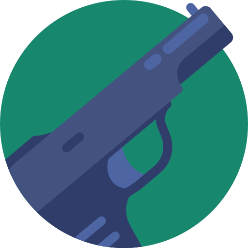 Gun