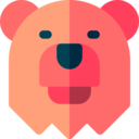 animals,mammal,wildlife,animal kingdom,zoo,bear ok 