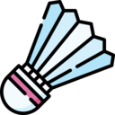sports and competition,game,equipment,ball,birdie,badminton,shuttlecock ok 