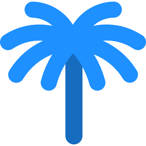 Palm