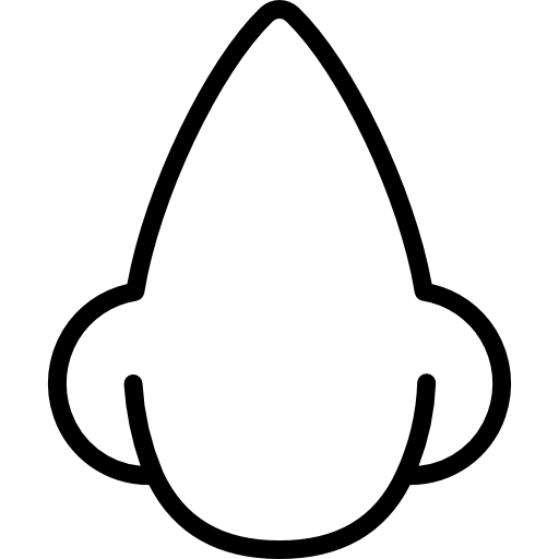 Nose