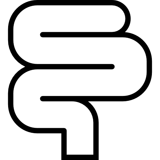Intestine