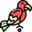 Pirates icon 64x64