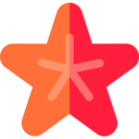 animals,aquarium,sea life,aquatic,ocean,starfish