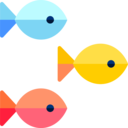 animals,nature,fish,aquarium,aquatic,ocean,sea,life