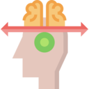 medical,brain,healthcare and medical,education,healthcare,arrows,user,people,directions,human brain,anterior part,brain anterior,body organ