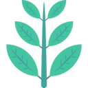 nature,plant,botanical,leaf,leaves,garden