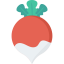 Fruits and Vegetables icon 64x64