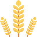food,food and restaurant,healthy,fruit,grain,veg