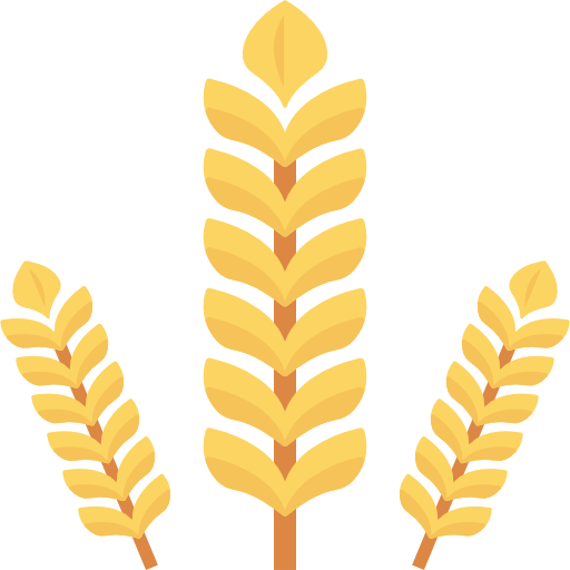 Grain