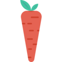 food,carrot,vegetable,vegan,healthy food,food and restaurant,organic,diet,vegetarian