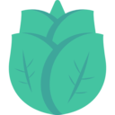 vegetable,nature,plant,botanical,leaf,leaves,garden