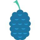 food,vegetable,food and restaurant,fruit,Raspberry,blackberry