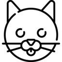 animals,pet,cat,feline,wild life,zoology ok 