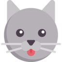 animals,pet,cat,feline,wild life,khao manee cat,zoology