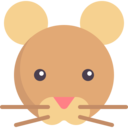 animals,mammal,mouse,wild life,Rodent,zoology