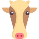 animals,mammal,wild life,farm,zoology,cow