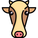 animals,mammal,wild life,farm,zoology,cow