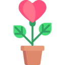 heart,love,lover,plant,valentines day,love and romance,romantic,valentines,romance