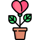 heart,love,lover,plant,valentines day,love and romance,romantic,valentines,romance