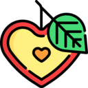 food,vegan,healthy food,food and restaurant,organic,diet,vegetarian,heart,fruit,love,apple,love and romance