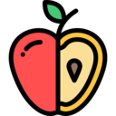 food,vegan,healthy food,food and restaurant,organic,diet,vegetarian,fruit,apple