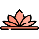 nature,botanical,lotus,flower,blossom,petals