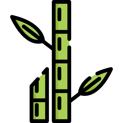 Bamboo