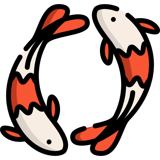 Koi