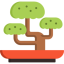 japan,nature,bonsai,plant,botanical