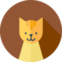animals,mammal,pet,cat,breed,animal kingdom,animal