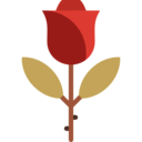 cultures,religion,christianity,nature,religious,catholic,mass,flower