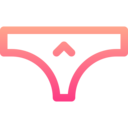 femenine,clothing,fashion,woman,underpants,underwear,panties,knickers,lingerie