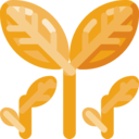 nature,plant,farming and gardening,natural,leaf,leaves,plants,growing,grow