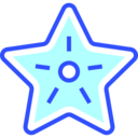 animals,aquarium,sea life,animal,aquatic,starfish ok 