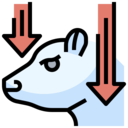 stock,business and finance,investment,finance,arrow,down,market,bear