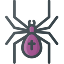 animals,bug,animal,spider,insect,arachnid,entomology,anim ok 