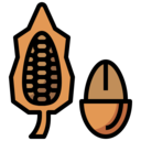 food and restaurant,sweet,chocolate,bean,cacao