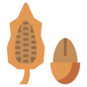 food and restaurant,sweet,chocolate,bean,cacao