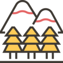 landscape,nature,trees,woods,forest,pines
