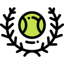 sports and competition,sport,sports,game,tennis,match,championship,balls,tournament
