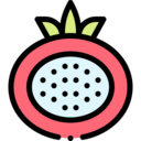 food,vegan,healthy food,food and restaurant,organic,diet,vegetarian,fruit,pomegranate