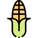 food,vegan,healthy food,food and restaurant,organic,diet,vegetarian,cereal,corn