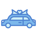travel,transportation,automobile,vehicle,couple,wedding,car,limousine