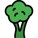 food,vegetable,vegan,healthy food,food and restaurant,vegetarian,foods,supermarket,vegetables,broccoli