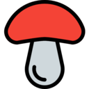 food,food and restaurant,nature,mushroom,Muscaria,Fungi