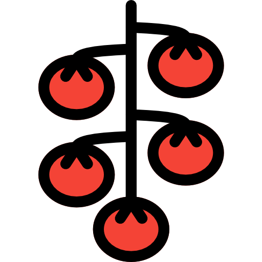 Tomato