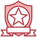 sports and competition,shield,security,protection,winner,award,star,recognition