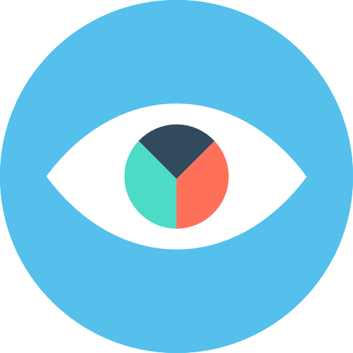 Vision