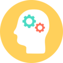 seo and web,settings,development,seo,head,thinking